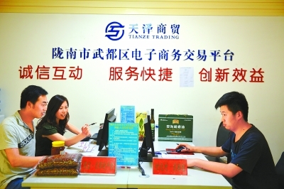 甘肃陇南农产品销售率先跨入电商时代 网店营销服务的创新与实践